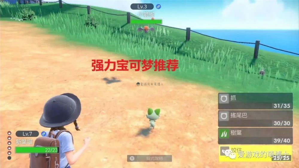 体验了《宝可梦：朱/紫》后，我来推荐六只强力且实用的精灵