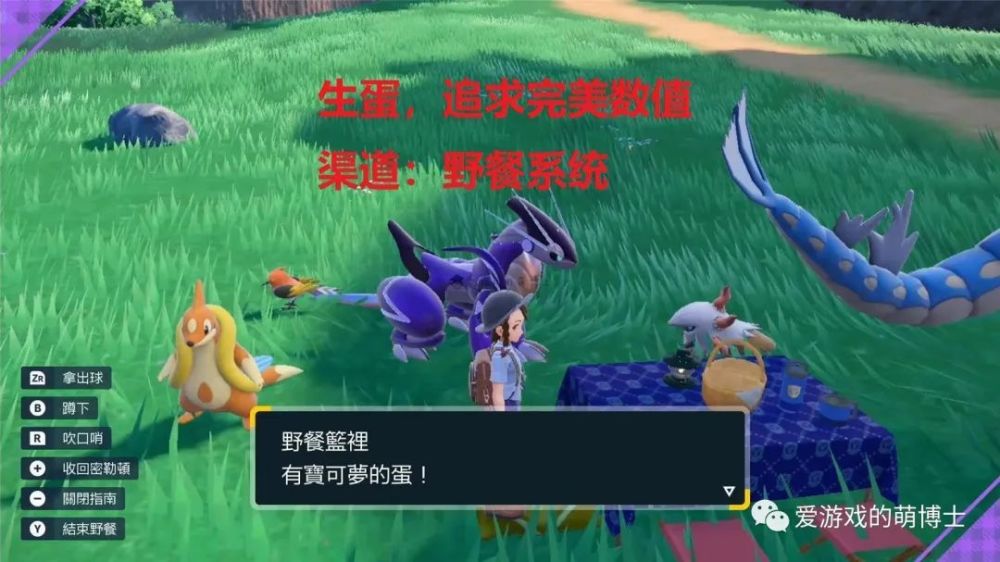 PVP玩家必学，操作简单，《宝可梦：朱/紫》快速生蛋攻略