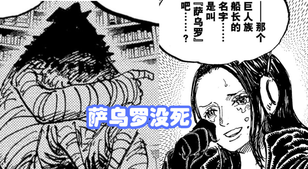 海贼王1067话：大失误，尾田打脸官方生命卡图鉴，萨乌罗真没死