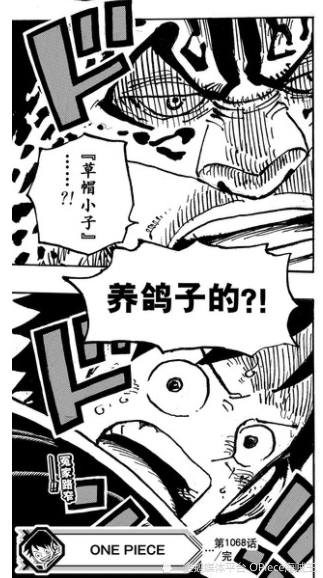 海贼王1069话情报：凯多看完安心的躺回岩浆？尼卡战觉醒大猫！