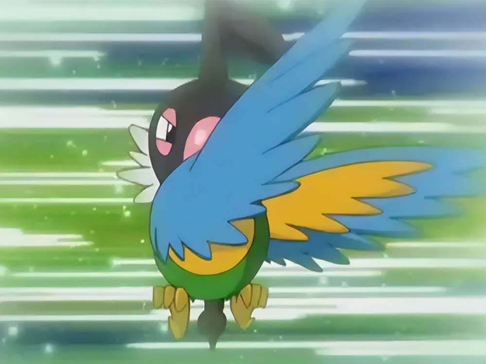 《宝可梦》根据机能被设计出来，又被玩家亲手葬送的聒噪鸟！