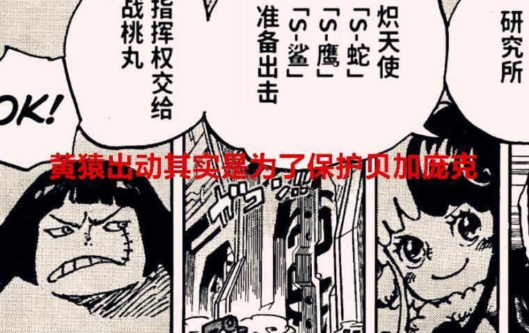 海贼王漫画解读：黄猿出动其实是为了保护贝加庞克，海军欠他太多