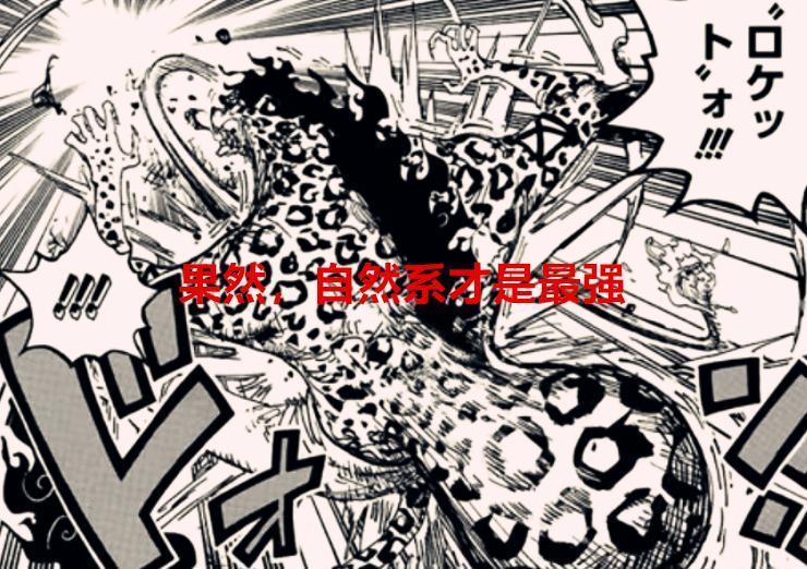 海贼王1070话：果然，自然系果实最强，第五位女性科学家其实是她