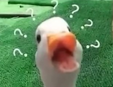 卿卿日常返乡文学是什么梗 卿卿日常返乡文学梗出处含义介绍