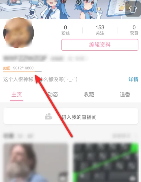 哔哩哔哩硬核会员经验值查看方法