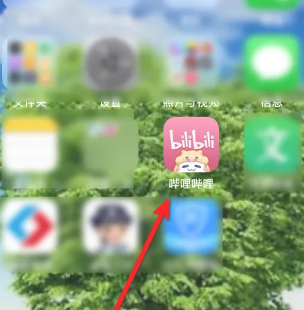 哔哩哔哩硬核会员经验值查看方法