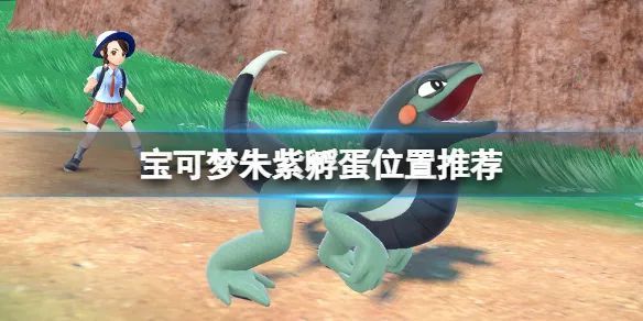 【攻略】《宝可梦朱紫》孵蛋位置推荐