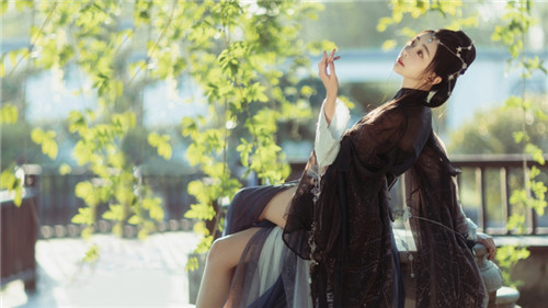 柚子视频在线观看播放：精选资源无限点播