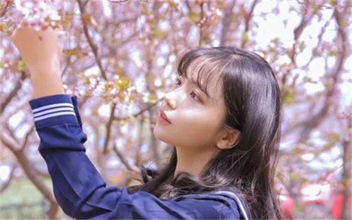 小黄鸭秋葵草莓香蕉榴莲芒果：深夜纵享精选海内外资源