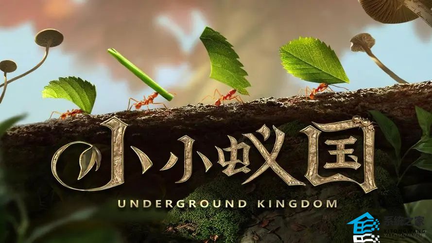 小小蚁国2023平民最强阵容 小小蚁国平民顶级阵容搭配推荐