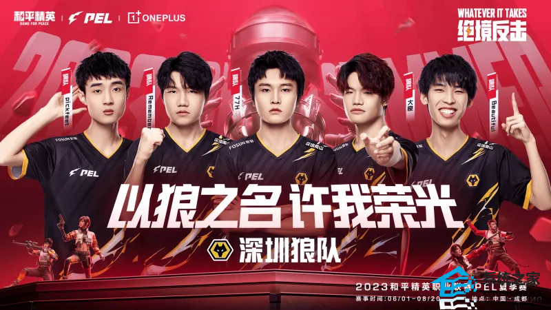 2023PEL夏季赛各大战队名单一览