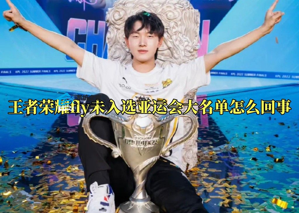 王者荣耀fly未入选亚运会大名单怎么回事