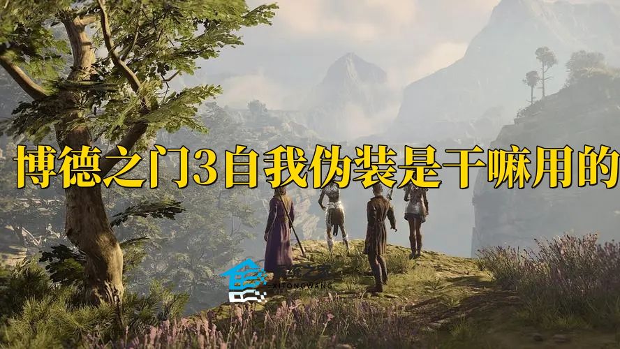 博德之门3自我伪装是干嘛用的 博德之门3自我伪装作用介绍