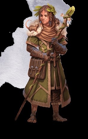 博德之门3德鲁伊副职选哪个好