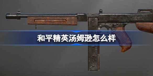 和平精英汤姆逊还能玩吗 和平精英新版本汤姆逊强度解析