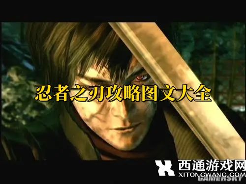 忍者之刃攻略图文大全 忍者之刃全章节通关攻略分享