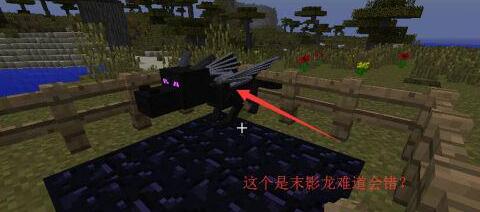 我的世界龙骑士mod龙蛋孵化时间是多少