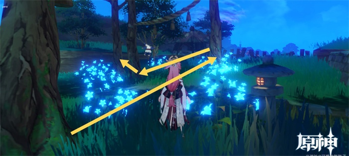 原神孔雀木采集点攻略