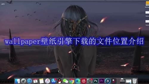 wallpaper下载的视频在哪个文件夹 wallpaper壁纸引擎下载文件位置一览