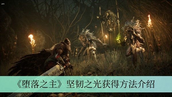 堕落之主坚韧之光怎么获得-坚韧之光获得方法介绍