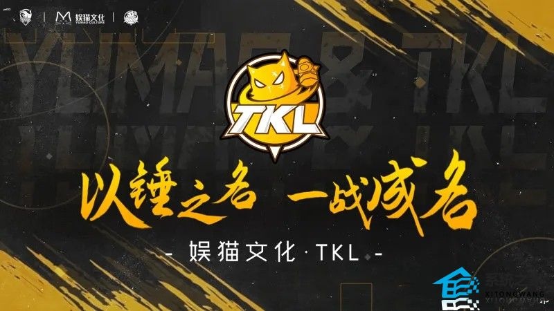王者荣耀TKL战队是谁创建的 2023TKL战队老板资料介绍