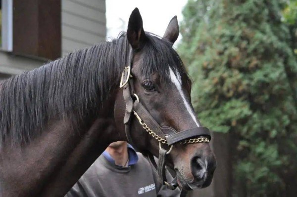 东海帝皇什么时候去世的 东海帝皇死亡时间