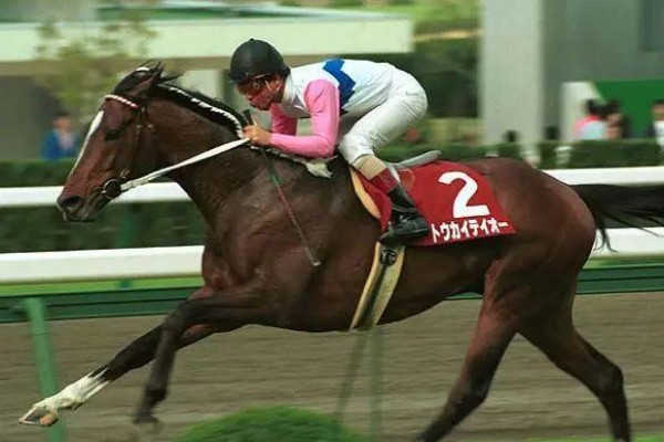 东海帝皇死亡时间