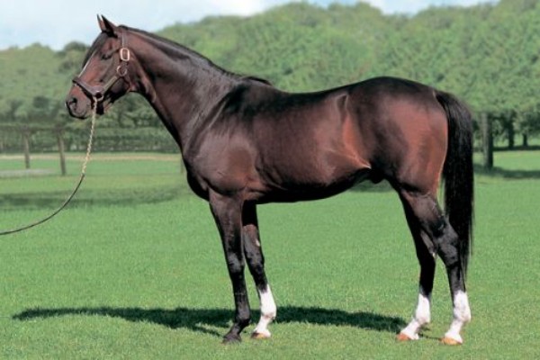 东海帝皇死亡时间