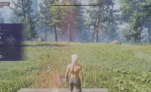 雾锁王国联机降低延迟方法